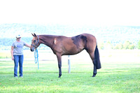 AJB_0809