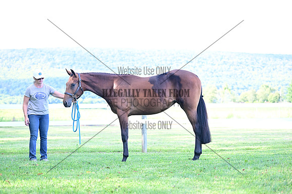 AJB_0809