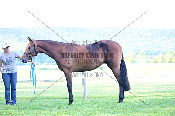 AJB_0812