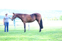 AJB_0810