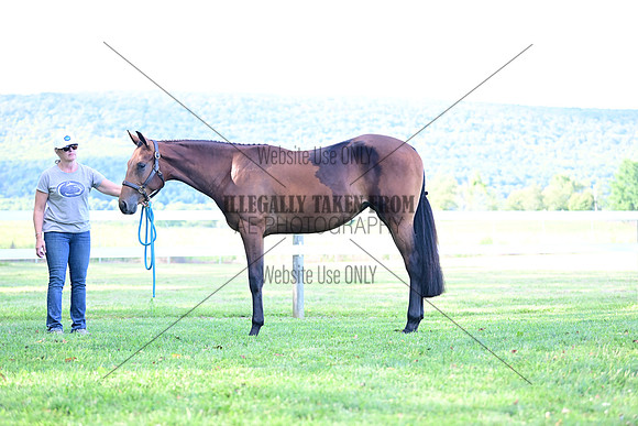 AJB_0810