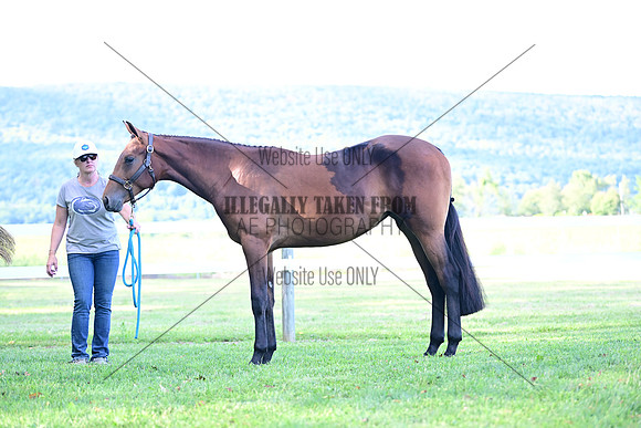 AJB_0813