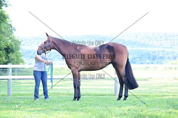 AJB_0815