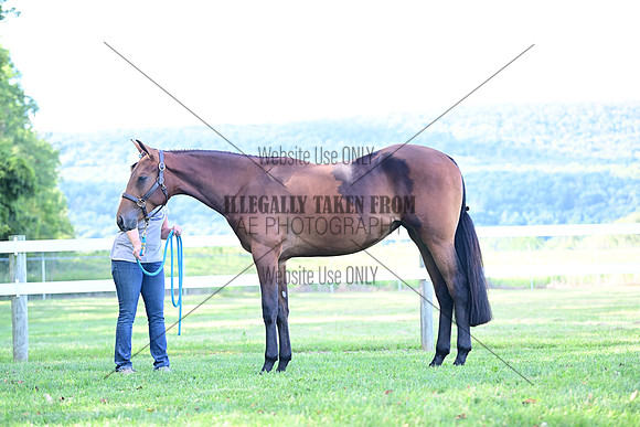 AJB_0817
