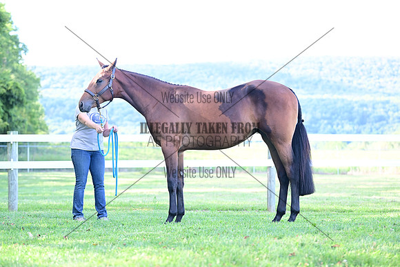 AJB_0816
