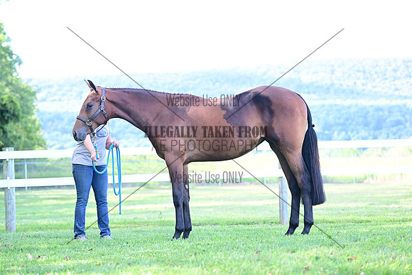 AJB_0818