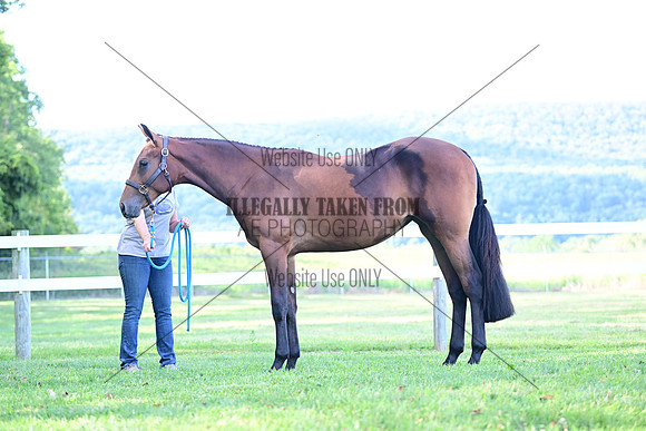 AJB_0819