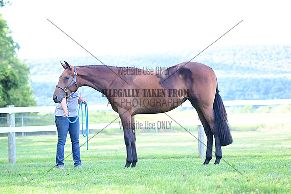 AJB_0820