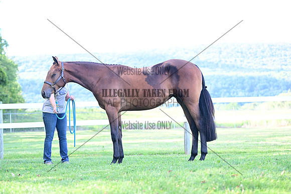 AJB_0821
