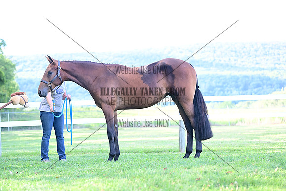 AJB_0822