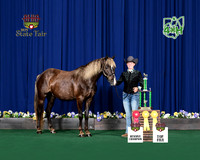 acycan-8x10