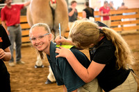 Youth Horse Judging