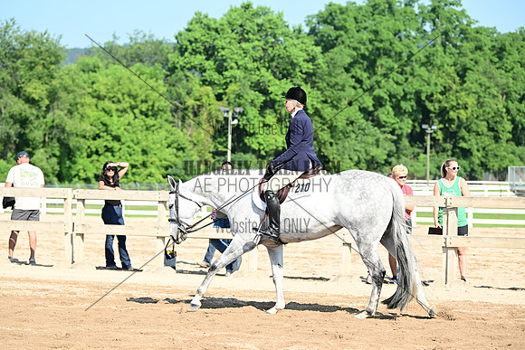 AJB_8959