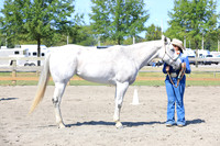 Youth Ranch Conformation