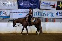 All Breed Walk Jog Western Pleasure