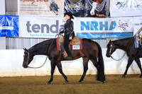 L1 Amateur Walk Jog Western Pleasure