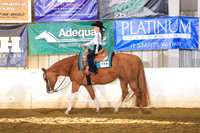 Combined All Age Youth Western Pleasure
