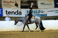 L1 Amateur Western Pleasure
