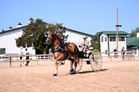 AJB_4578