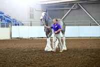 ASH_4914