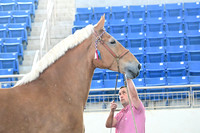 ASH_5039