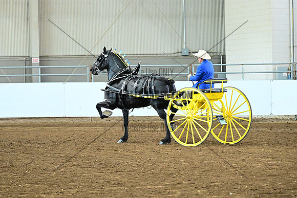 ASH_5364