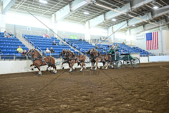 ASH_7291