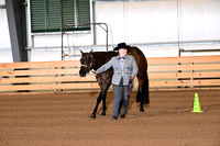 209. Level 1 Amatuer Aged Mares