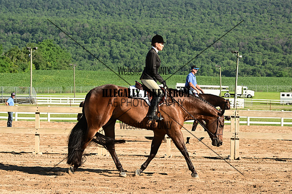 AJB_9986