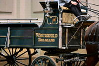 Westerfield Belgians