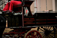 Fedore Farm
