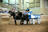 Skye Blue Stables
