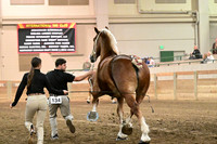 2H Equine