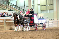 McCarry's Clydesdales