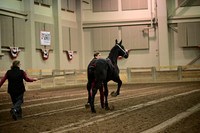 ASH_0595