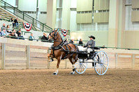 Hershey Equine