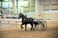 Knapptyme Percheron's