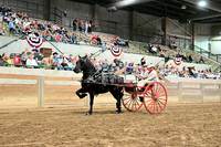 Shipshewana Harness Youth Cart Class