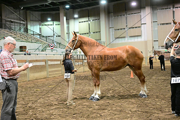 ASH_4603