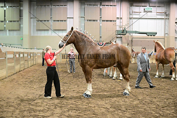 ASH_4692
