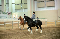 ASH_5349