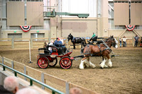 Leon Obstacle Course
