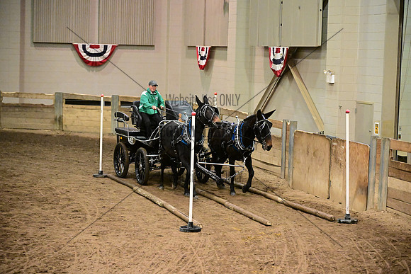 ASH_5641