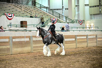 Western Riding