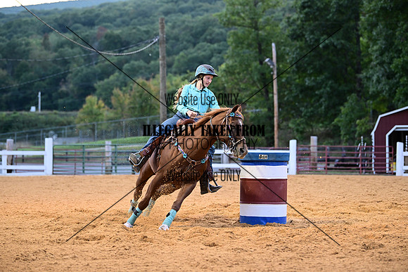 AJB_3619