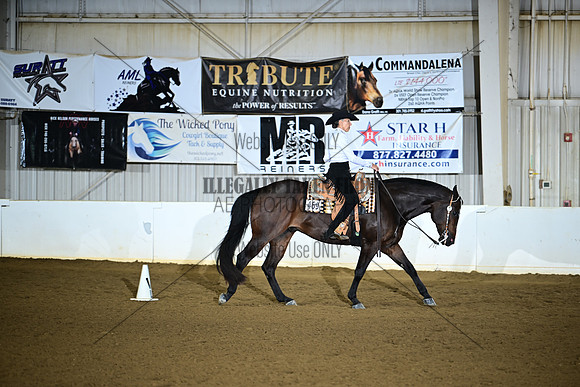 AJB_1695