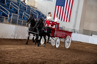 Draft Horse - Youth Team 8-13