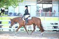 AJB_6618