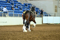 Northeast Shires