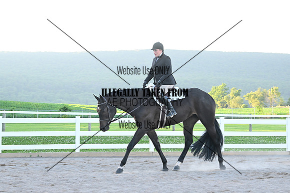 AJB_9736